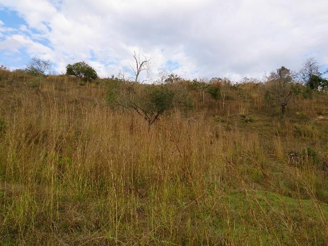 Terreno de 2000 m² às margens do Lago do Funil - Foto 5