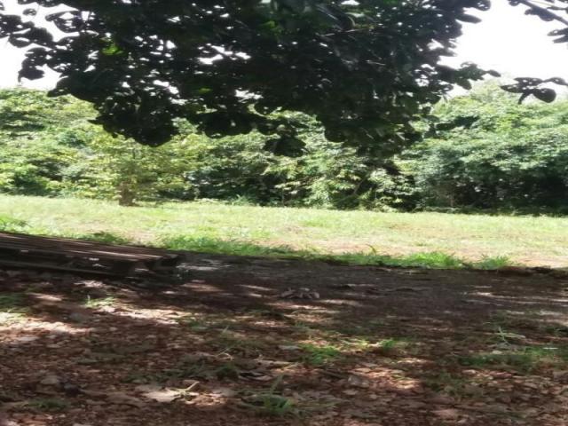 Chácara à venda com 3 dormitórios em Zona rural, Cezarina cod:em527 - Foto 2