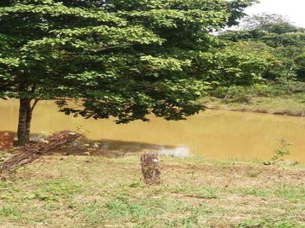 Chácara à venda com 3 dormitórios em Zona rural, Cezarina cod:em527 - Foto 8