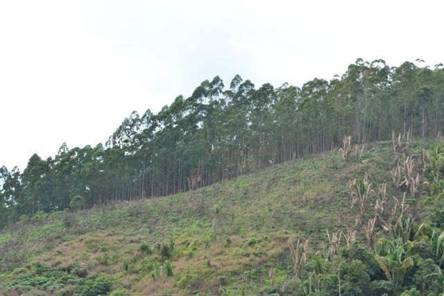 Terreno residencial à venda, Água Quente, Teresópolis. - Foto 4