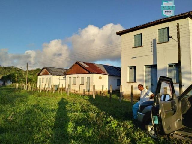 Fazenda plana, completa com 564 Hectares. Produção de Cacau e gado