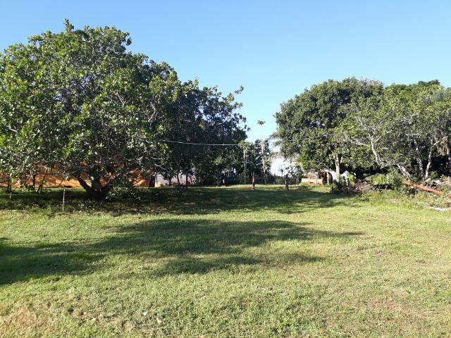 Chácara com caneiros, aves, tanque com peixes na BR 364 - Foto 19