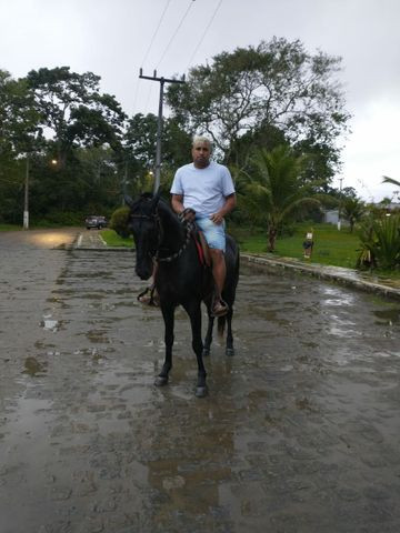 Cavalo Preto registra - Foto 2