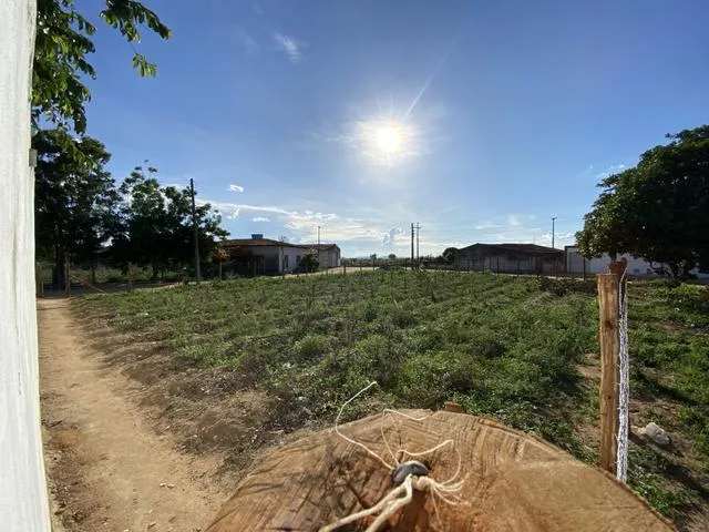 Terreno Boa Vista em Arapiraca 577 mts