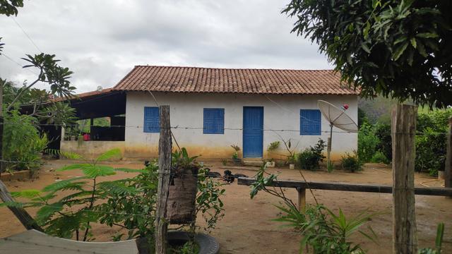 Vendo Fazenda Nova Venécia - 17 Alqueires - Foto 5