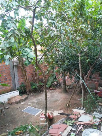 Terreno em Pernambués - Foto 3