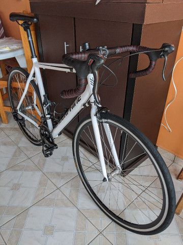 bike endorphine fast 20