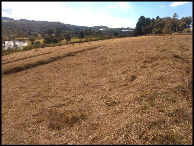85- Compre seu terreno agora, sem complicações - Foto 6