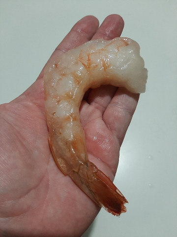 Pescados camarão linguado marisco polvo - Foto 5