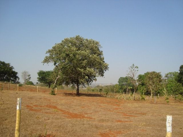 Chácara Excelente 2,5 Alqueires, Próximo à Rozelandia-Bela Vista de Goiás - Foto 3