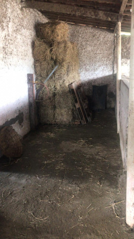 Vendo feno de tifton - Foto 4