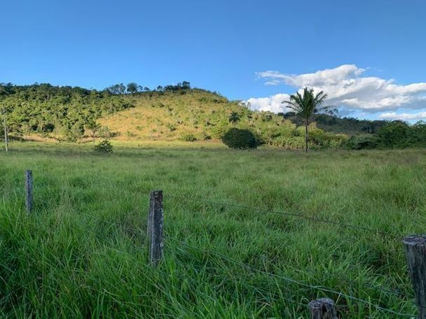 Vendo Fazenda 12 Alqueires, 55 Km de Palmas - Foto 3