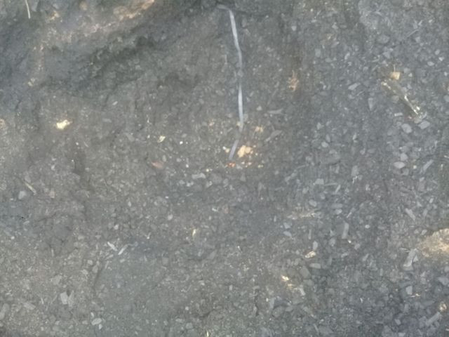 Pó de carvão para aterro de obra