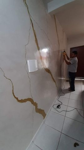Pintor profissional - Foto 3