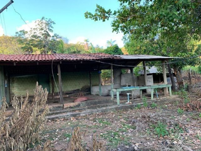 Vendo Fazenda 12 Alqueires, 55 Km de Palmas - Foto 6