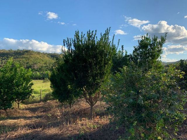 Vendo Fazenda 12 Alqueires, 55 Km de Palmas - Foto 9