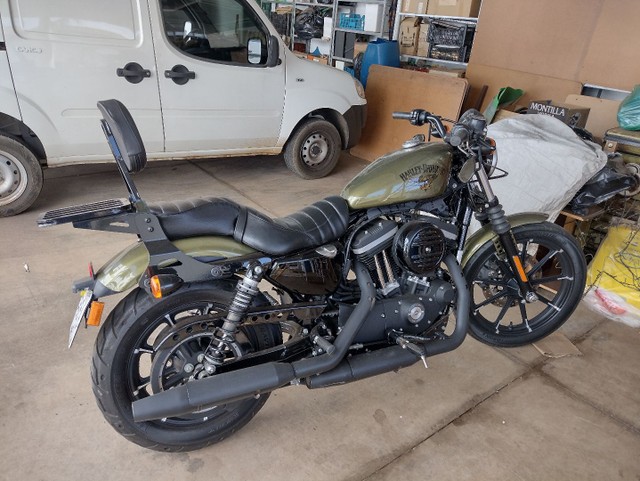 HARLEY DAVIDSON 883 IRON