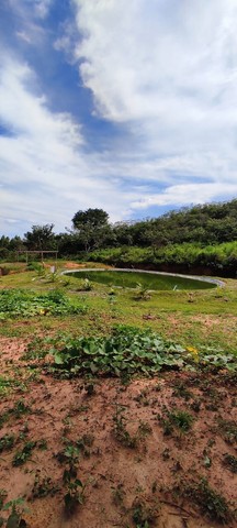 vendo chacara - Foto 2