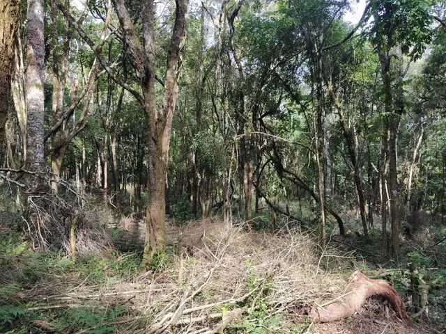 Sitio são Pedro  - Foto 4
