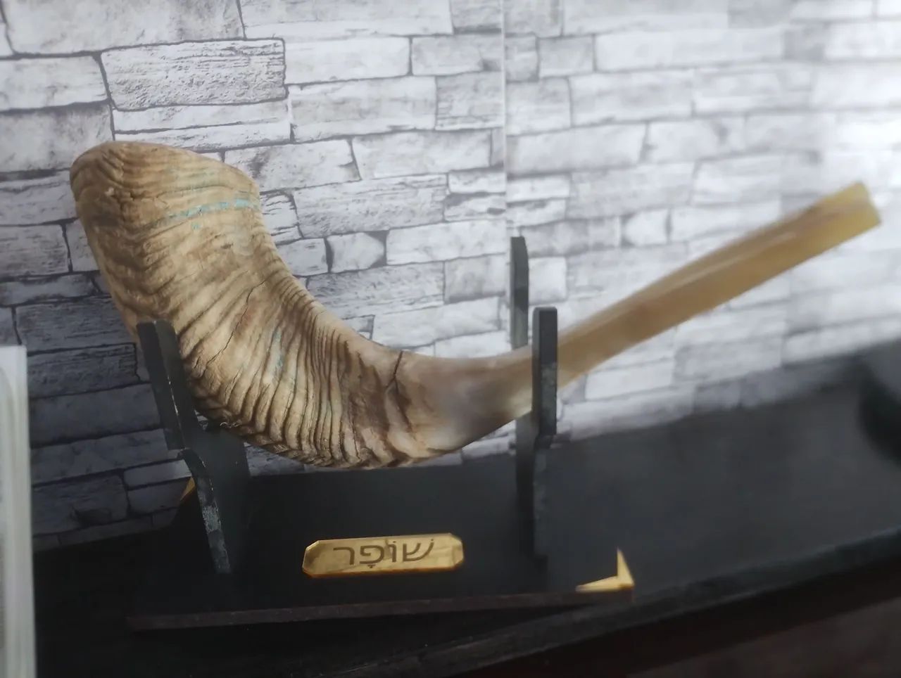 Shofar Camboriú - Foto 4