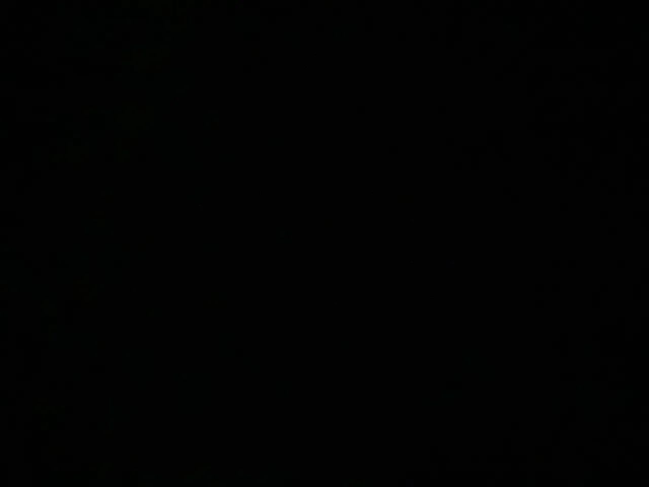 Caixa de iPhone 11 nova