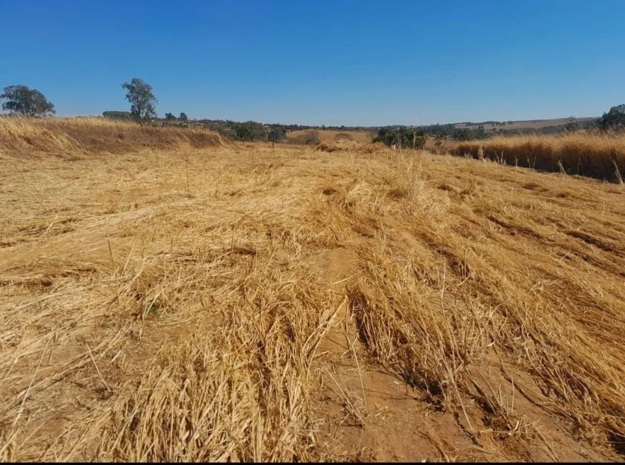 Chácara 35 km de Goiânia  - Foto 7