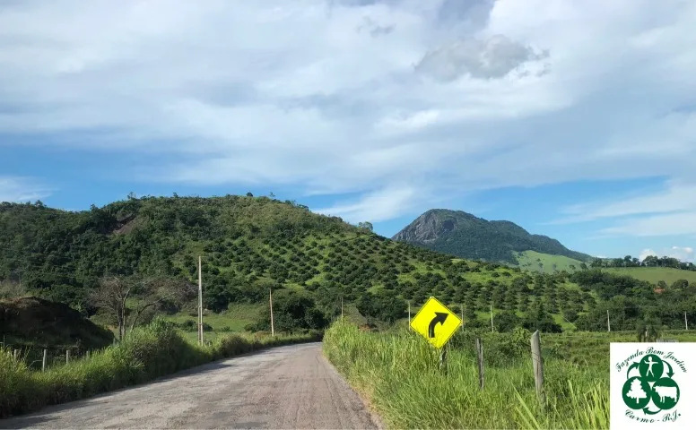 Fazenda Produtiva 48 Ha - Lichia e Leite - RJ