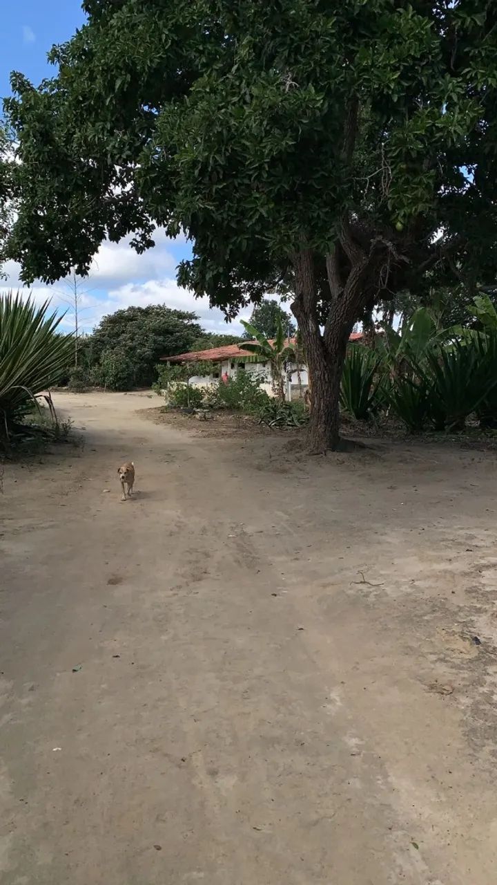 Área de 30 hectares  em Vitória da Conquista para venda e incorporação imobiliária  - Foto 4