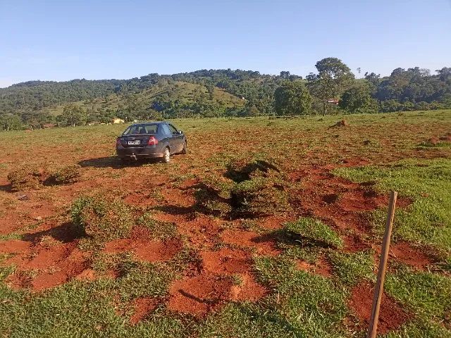 GRAMAS JA PLANTADAS A PARTIR DE 9 REAIS .. - Foto 6