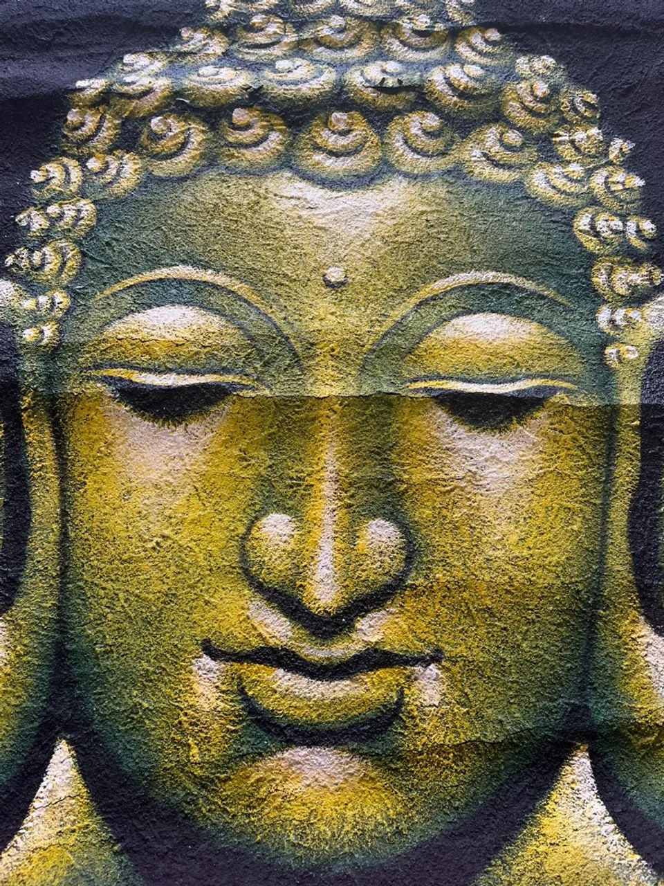 TELA DE DECORATIVA BUDA  - Foto 2