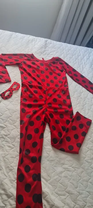 Fantasia Lady Bug - infantil