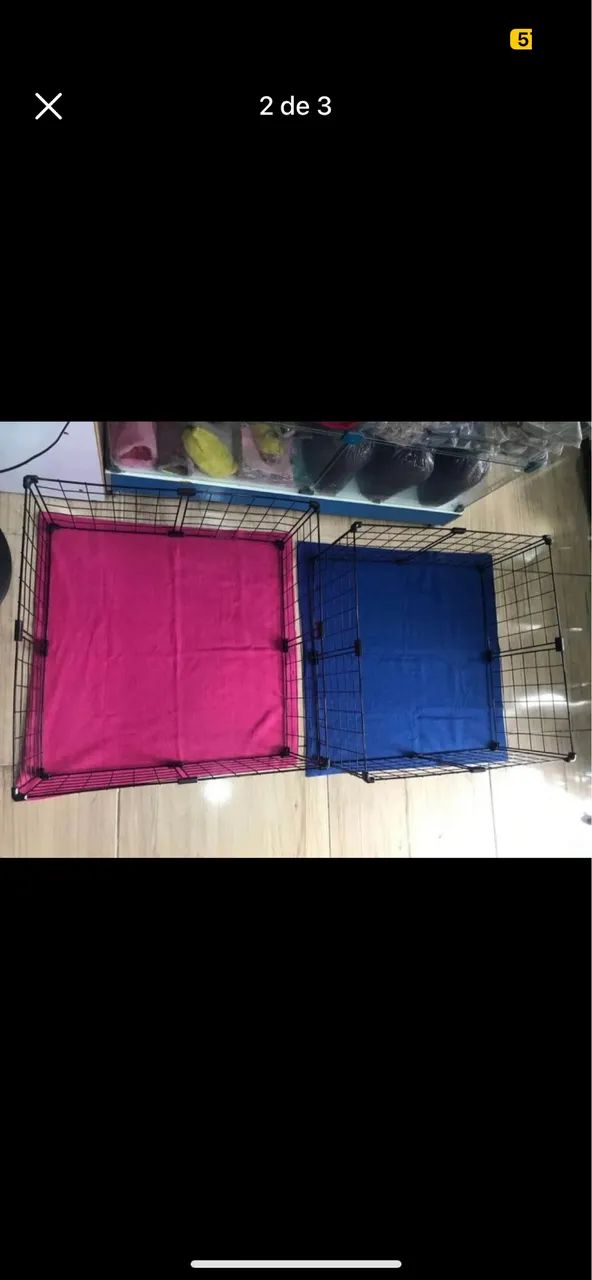 Cercadinhos para porquinho da índia 63824582458883121