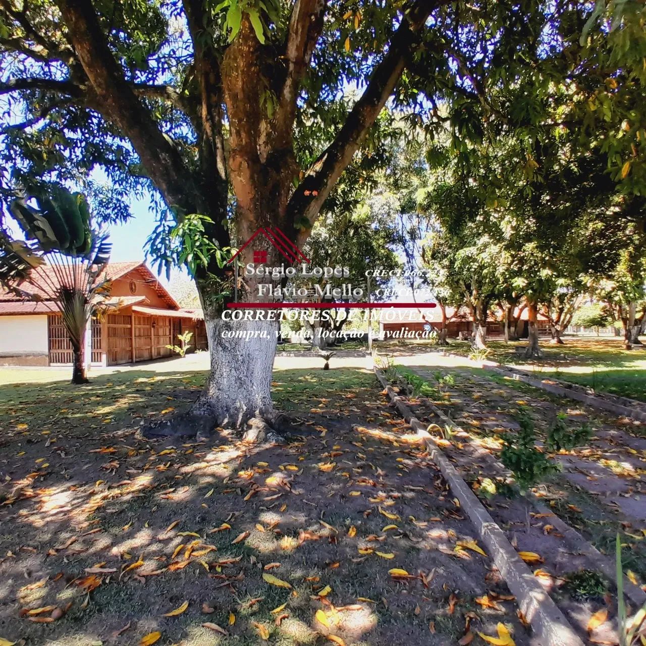 ITABORAÍ - Lindo Sitio 10,000m2 bairro Vila Rica !! boa localização  Cod(238IV) - Foto 3