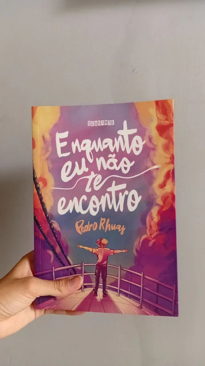 Livro: Enquanto não te encontro 