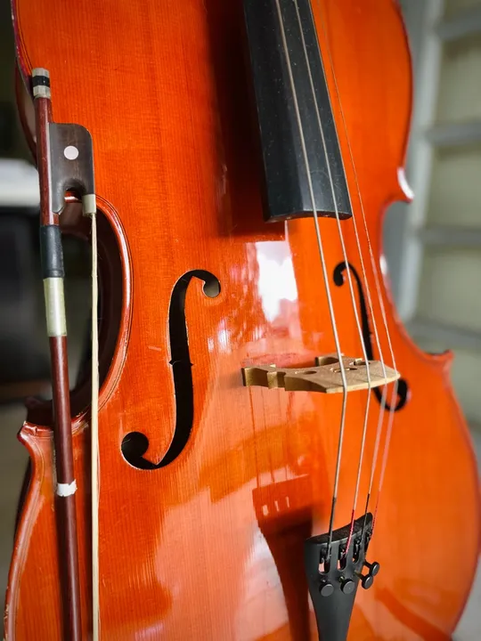 Violoncelo 1/2. Madeira maciça. Zerado e Regulado