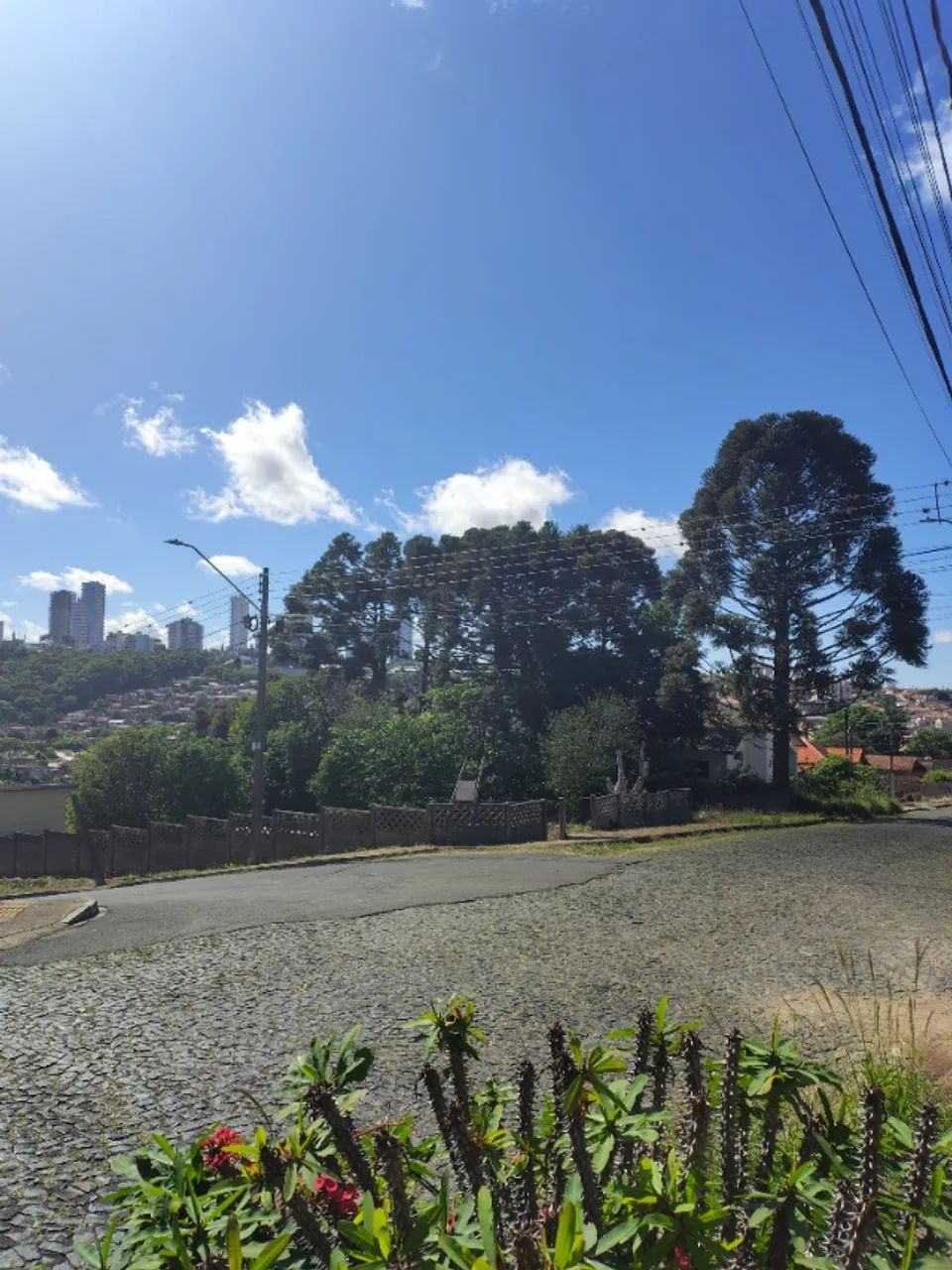 Terreno próximo ao INSS - Foto 5