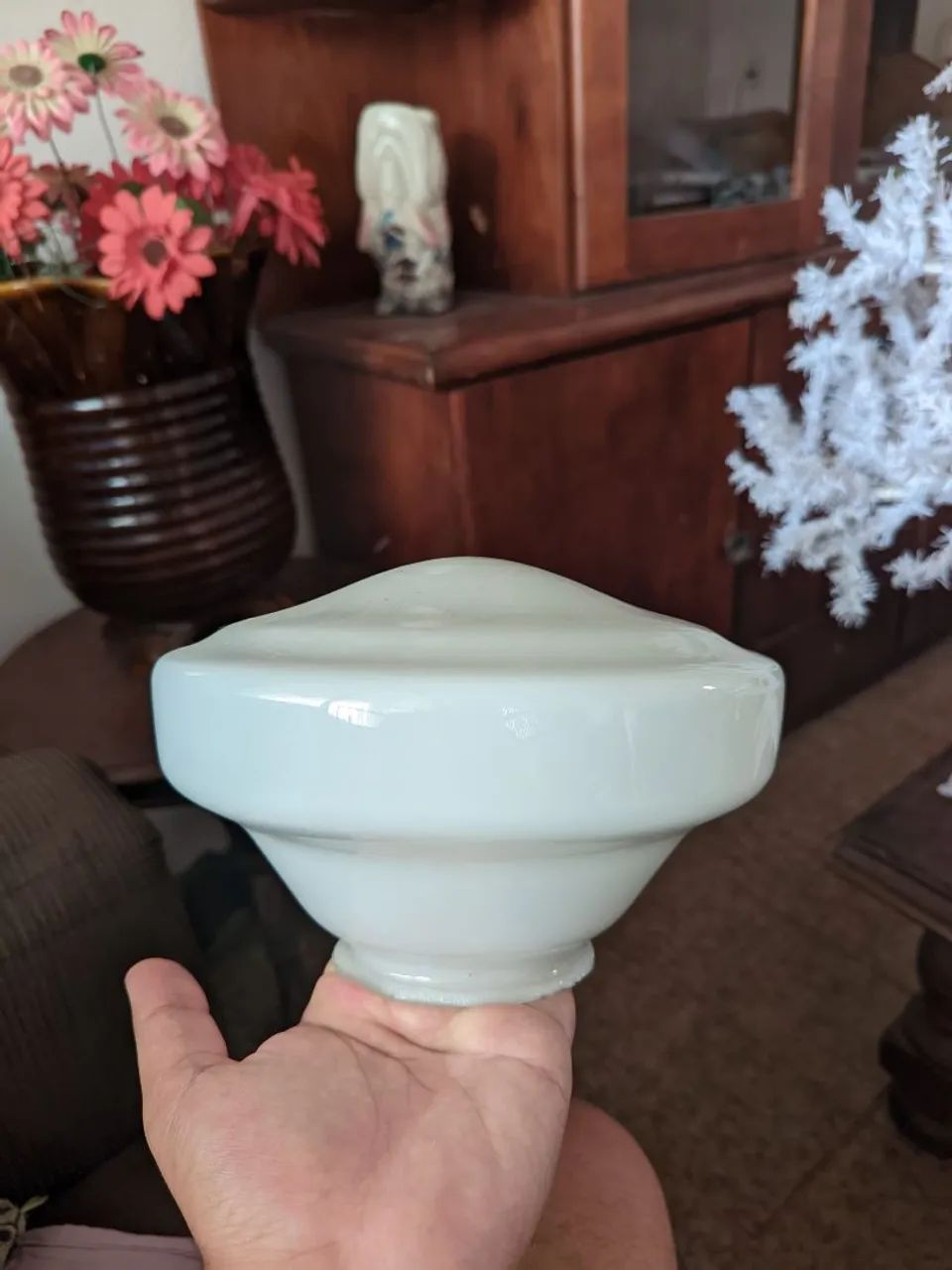 Cúpula de Vidro 23 Cm - Foto 3