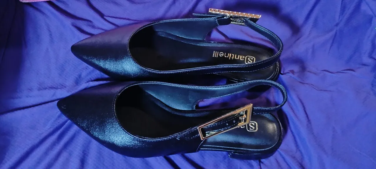 Sapatos Femininos Santinelli