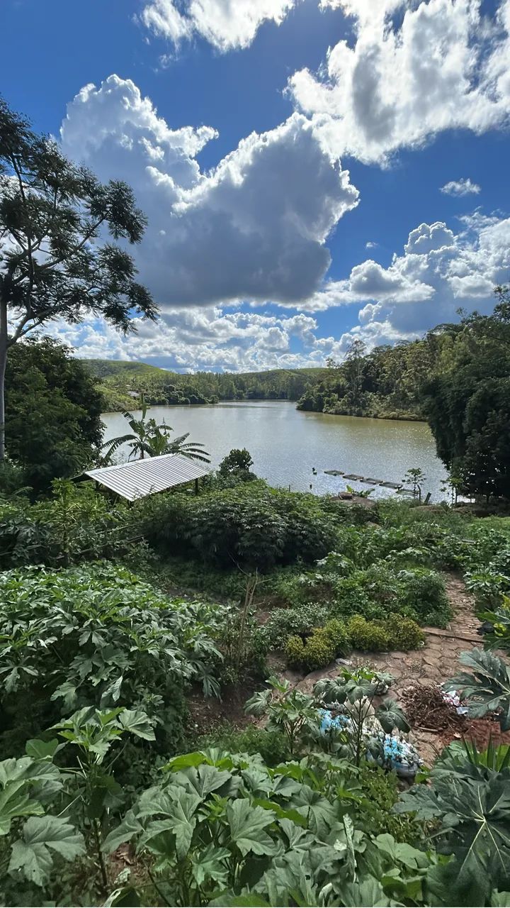 Lote em Miguel Rodrigues ?