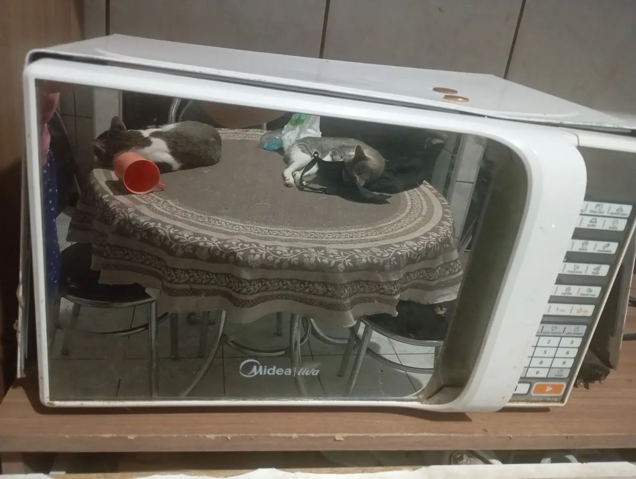 Micro-ondas Midea  com defeito 