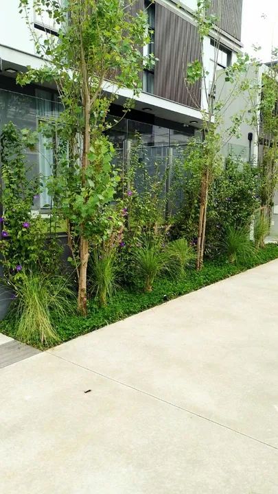 Jardineiro em Florianópolis  - Foto 4