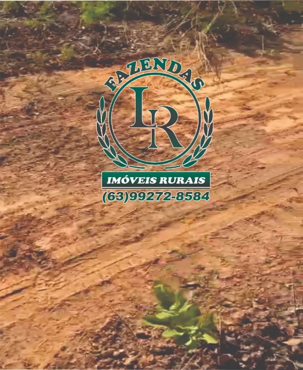Fazenda Bruta de 132 Alqueires Tocantins - Foto 3