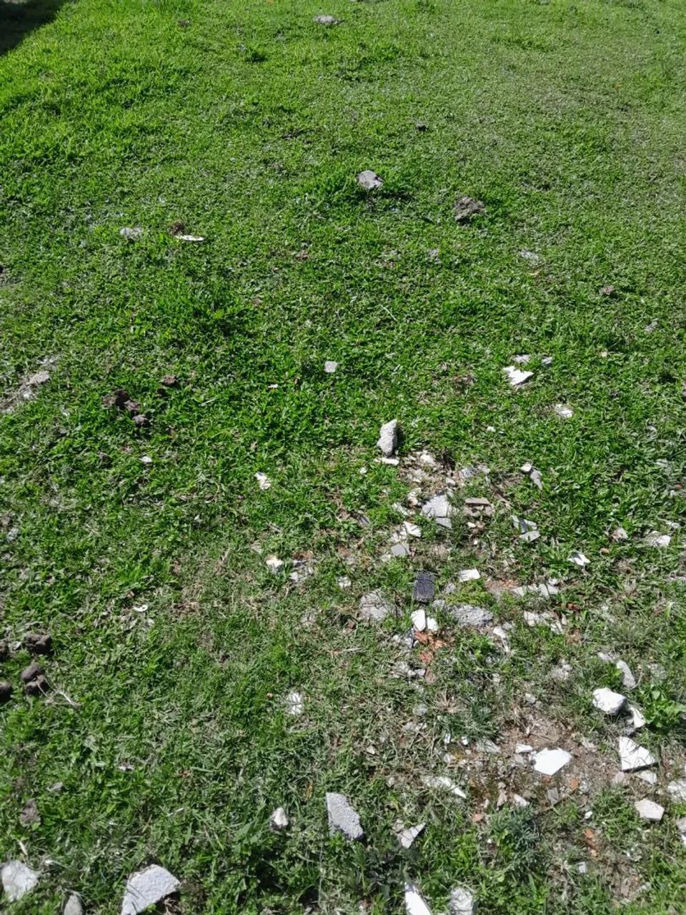 Foto - Palhoça - Aririú