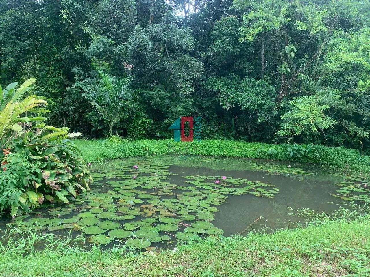 Vargem Grande | Terreno - Foto 4