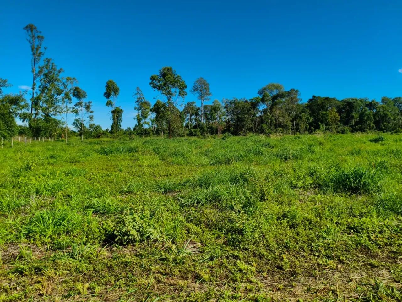 Chácara à Venda de 22.000m² em Nerópolis - Foto 4