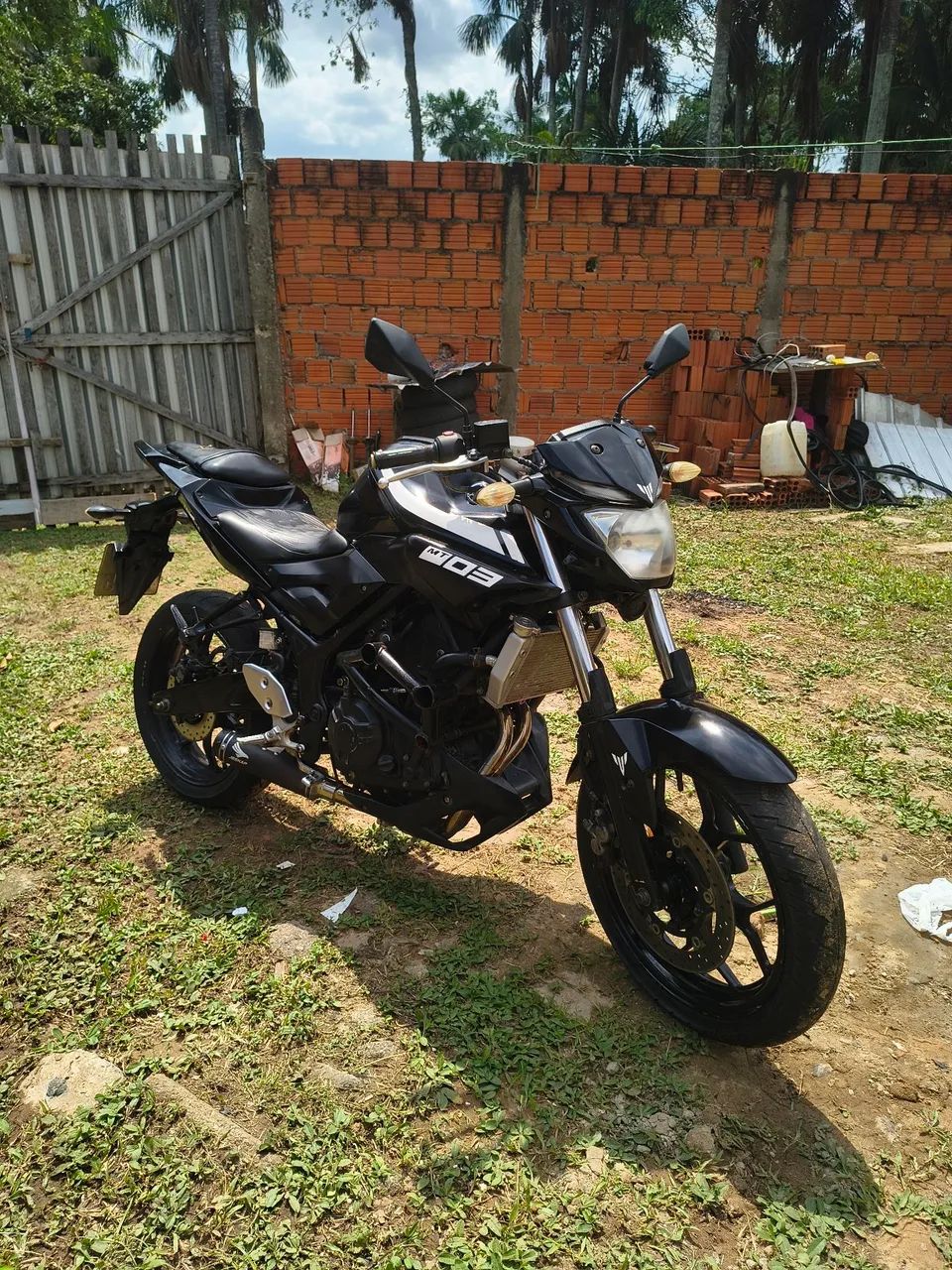MT 03 2018 - Foto 2