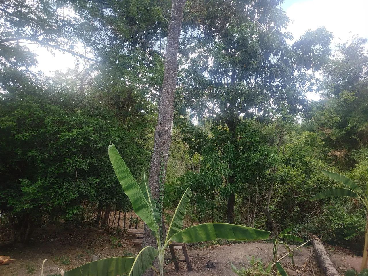 Vende se chácara em Luziânia Goiás  - Foto 5