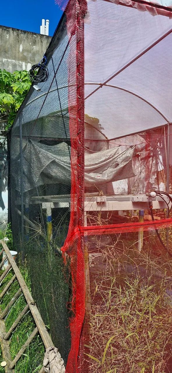 Mine Estufa agrícola 