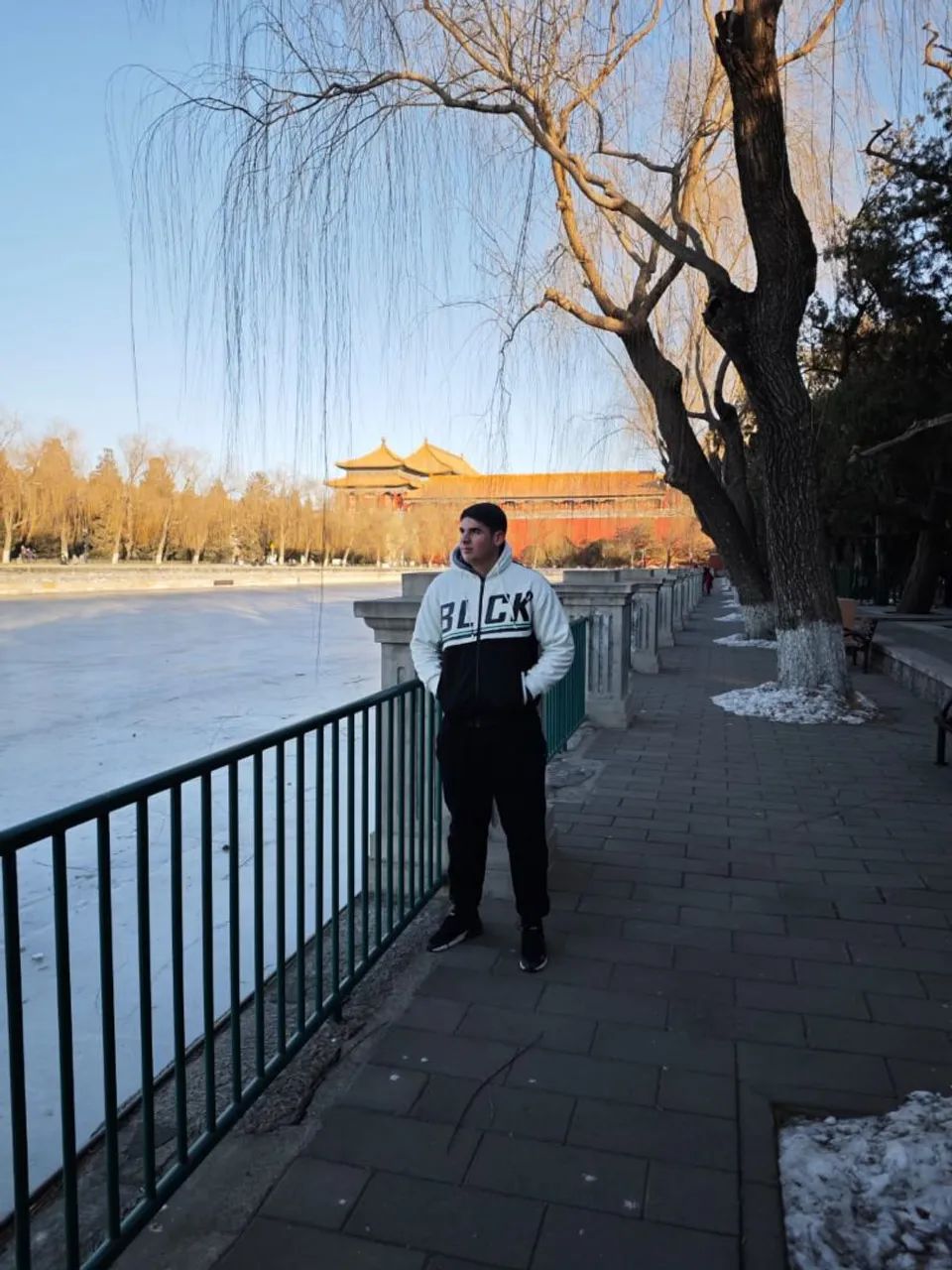 Professor de Mandarim (Chinês) - Aulas Personalizadas ? - Foto 5