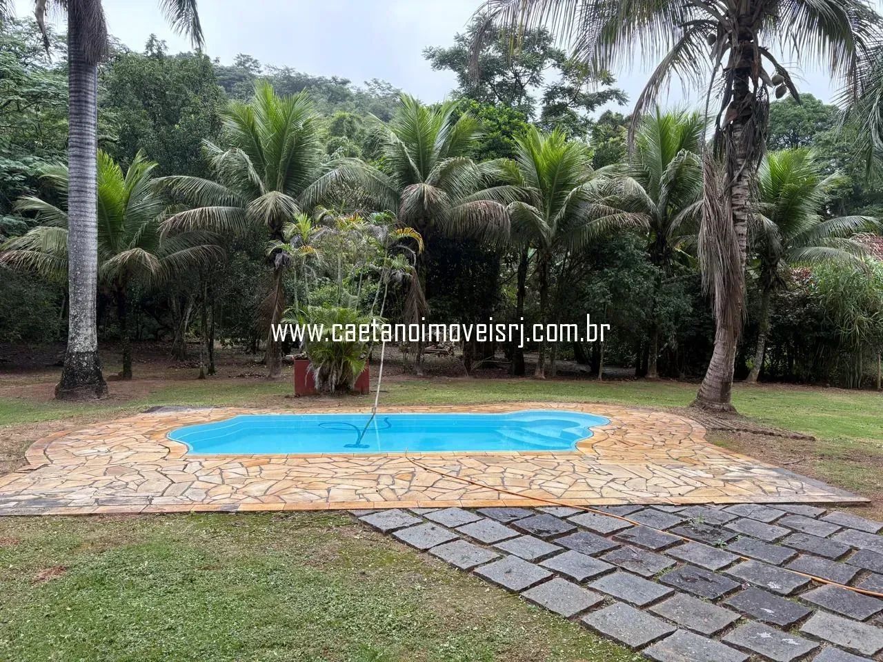 Sítio Perto do Centro de Papucaia C/ Muitas Frutíferas - Foto 3